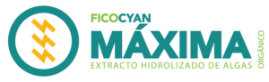 FICOCYAN Máxima Orgánico